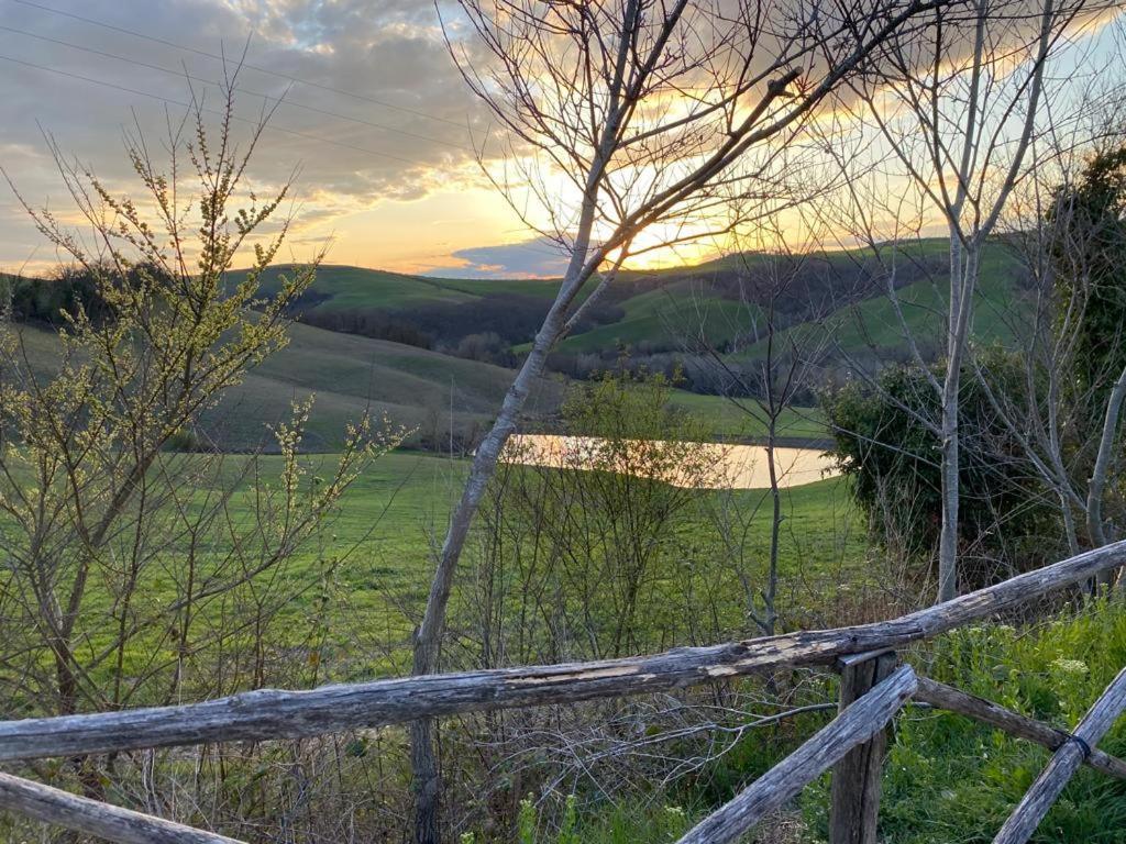 La Casina Di Helen Apartment Montalcino Luaran gambar